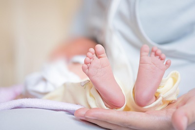 胚胎操作